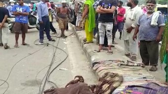 Delhi: 4 killed as speeding truck runs over people sleeping on road divider in Seemapuri