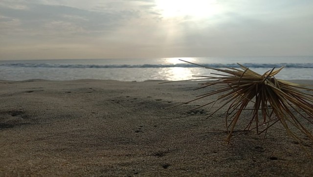 Odisha: Union minister Bhupendra Yadav inaugurates National Conference on Sustainable Coastal Management Odisha: Union minister Bhupendra Yadav inaugurates National Conference on Sustainable Coastal Management