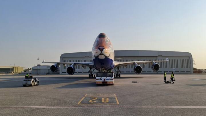 From Namibia with Love: The cheetahs are all set for their journey to India From Namibia with Love: The cheetahs are all set for their journey to India