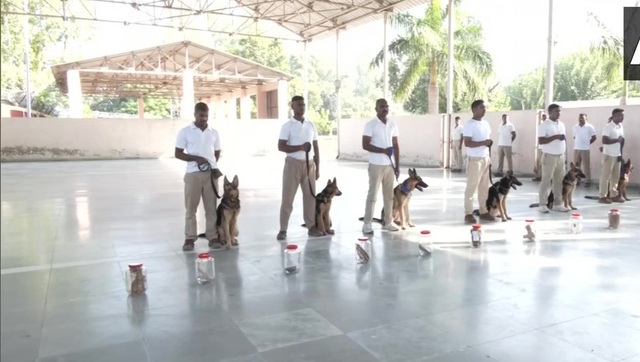 WATCH The Good Shepherds: ITBP trains dogs to protect Kuno's new Cheetahs from poachers WATCH The Good Shepherds: ITBP trains dogs to protect Kuno's new Cheetahs from poachers