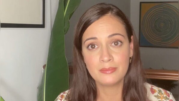 Dia Mirza at the United Nations General Assembly session: 'If India achieves the SDG goals, the world will too'