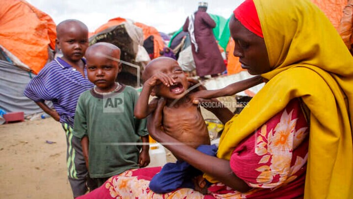 'Famine at the door' in Somalia, says UN as thousands die in historic drought made worse by war in Ukraine