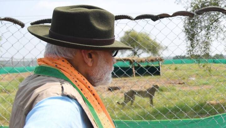 ‘Baar baar din ye aaye’: How India celebrated PM Modi’s 72nd birthday