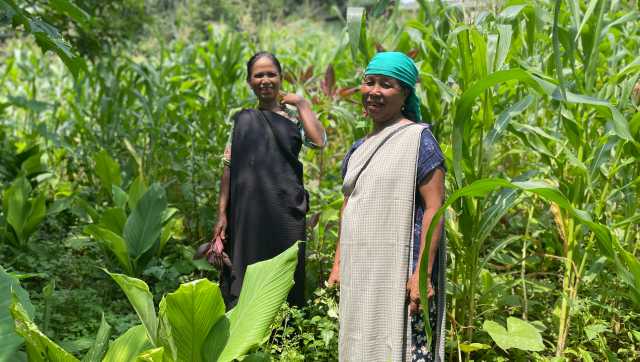 Climate woes, farm distress and agriculture future in Meghalaya Climate woes, farm distress and agriculture future in Meghalaya