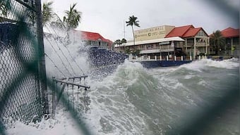 'Jaws' comes to life! Was there a shark swimming in a Florida street because of Hurricane Ian?