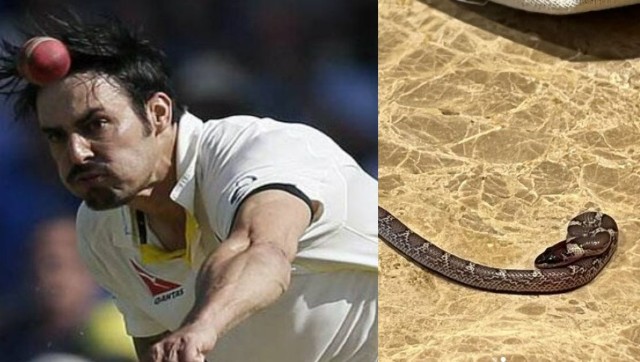 Mitchell Johnson encounters snake as surprising guest inside Lucknow hotel room, see photos Mitchell Johnson encounters snake as surprising guest inside Lucknow hotel room, see photos