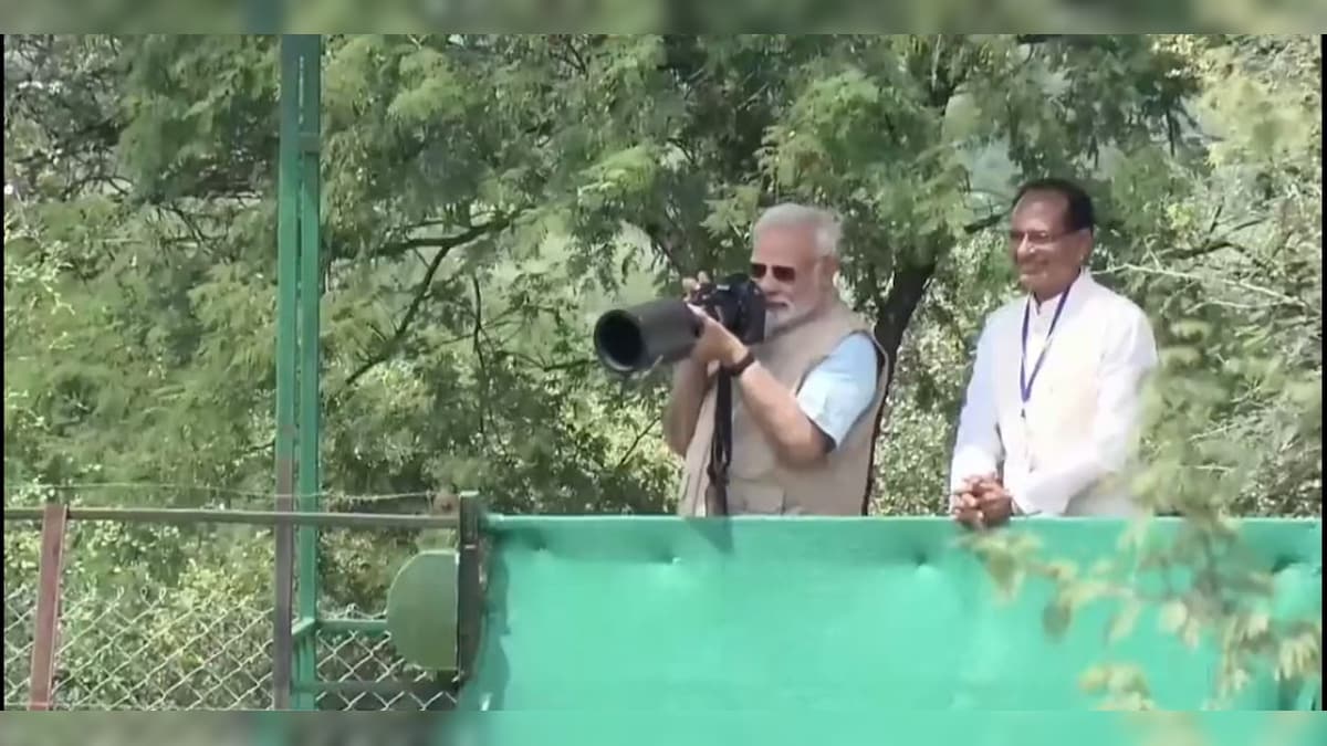 #WATCH: How on his 72nd birthday, PM Modi uncaged 8 cheetahs from Namibia into India's wilds