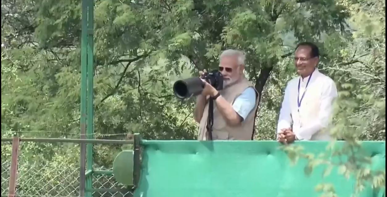 #WATCH: How on his 72nd birthday, PM Modi uncaged 8 cheetahs from Namibia into India's wilds #WATCH: How on his 72nd birthday, PM Modi uncaged 8 cheetahs from Namibia into India's wilds