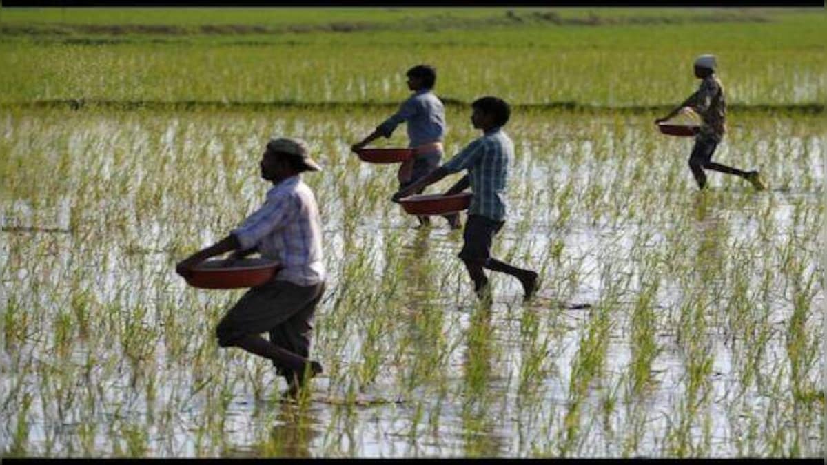 Rice prices expected to go up as production falls 6-7 million tonnes shorter