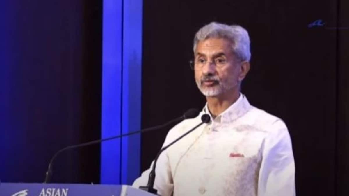 'Efforts on to get Hindi recognised as official language at UN': S Jaishankar