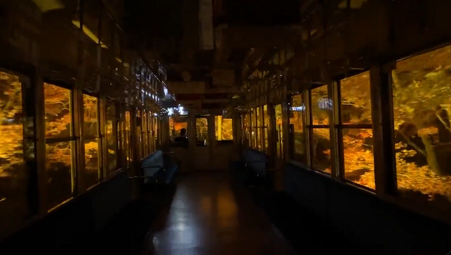 Japan train driver switches off internal lights to let passengers enjoy 'Maple Tunnel' Japan train driver switches off internal lights to let passengers enjoy 'Maple Tunnel'