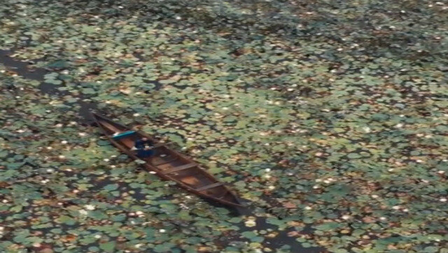 Watch: Drone view of lotus-filled lake in Kerala amazes internet Watch: Drone view of lotus-filled lake in Kerala amazes internet