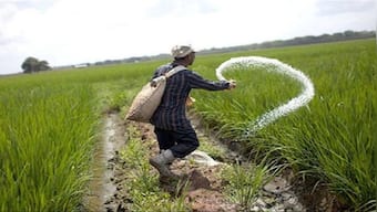International Seed Treaty: India calls for eliminating north-south divide to reach consensus on grappling issues