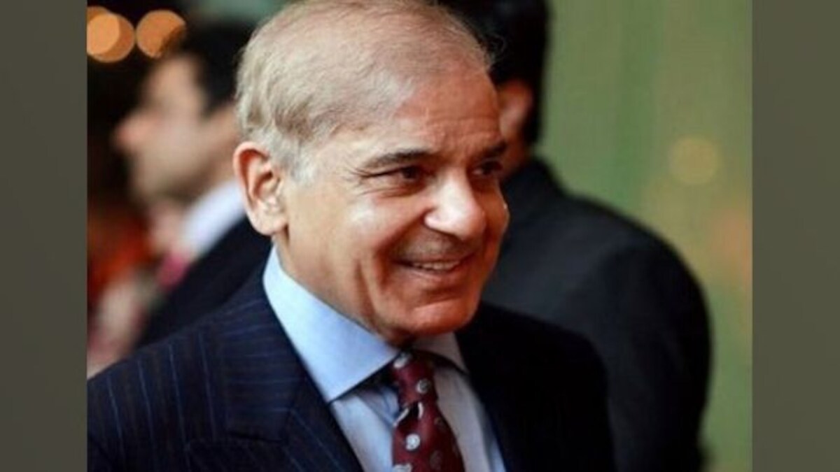 Pakistan PM Shehbaz Sharif struggles with headphones during bilateral meeting with Putin