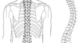 Spinal Muscular Atrophy: Causes and importance of early diagnosis for proactive management