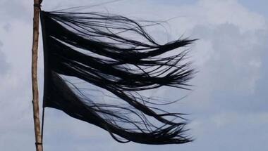 Flag of Honour: Chopped hair hoisted from a stick has become a most powerful symbol of dissent in Iran