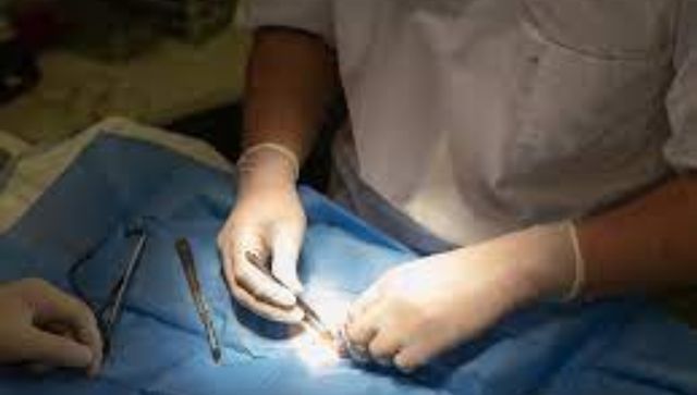 MPPSC issues Veterinary Assistant Surgeon Exam 2021 answer key, check steps to download MPPSC issues Veterinary Assistant Surgeon Exam 2021 answer key, check steps to download