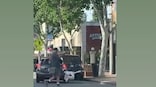 Man walks goose on leash, video leaves internet shocked