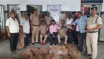 UP: Unclaimed at railway station, 29 sacks of banned turtles set free in river