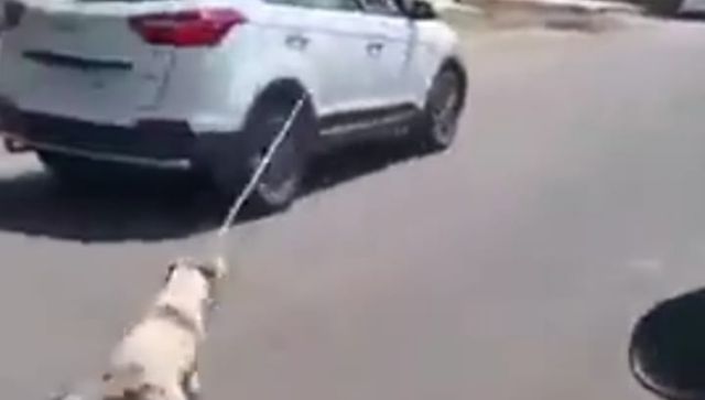 Rajasthan: Doctor booked for tying stray dog to car, dragging it along road Rajasthan: Doctor booked for tying stray dog to car, dragging it along road