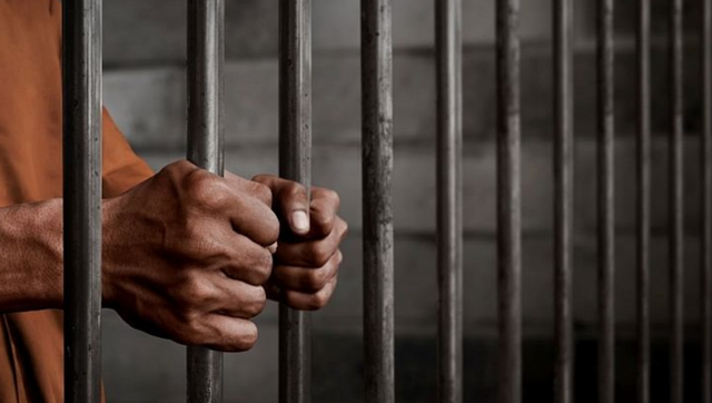 Turkish court sends journalist to jail under new ‘disinformation’ law that threatens free speech Turkish court sends journalist to jail under new ‘disinformation’ law that threatens free speech