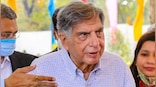 'Voice for voiceless': Ratan Tata urges people to watch out for strays this monsoon