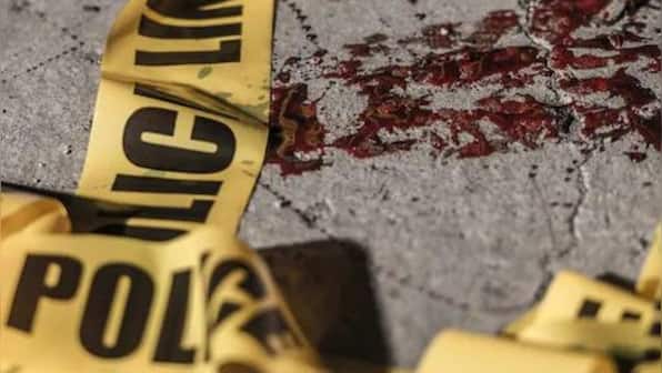 18-year-old 'serial killer' from MP may have killed people in Goa too: Police