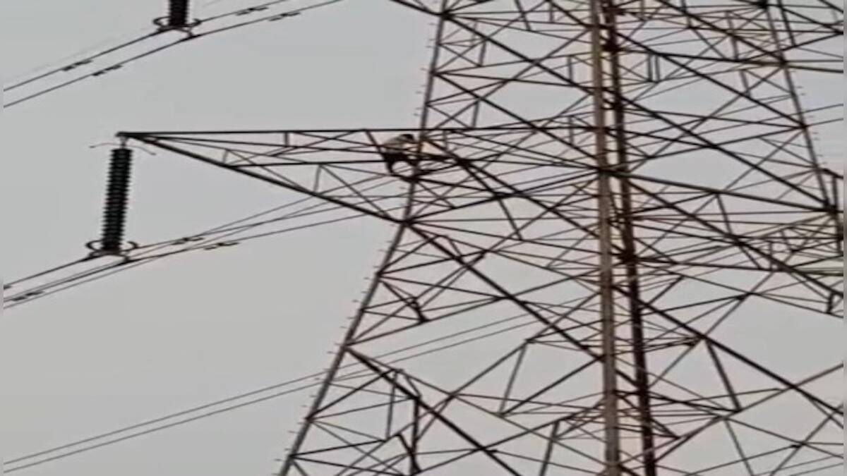 Watch: Man climbs electric tower after wife refuses to come with him ...