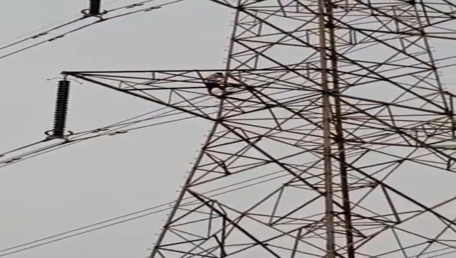 Watch: Man climbs electric tower after wife refuses to come with him Watch: Man climbs electric tower after wife refuses to come with him
