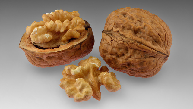 From improving cognitive functions to weight loss: Five health benefits of eating walnuts regularly From improving cognitive functions to weight loss: Five health benefits of eating walnuts regularly