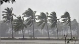 Weather Alert: Monsoon 2022 will cause havoc in these states today, know IMD forecast