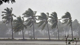 Weather Alert: Monsoon 2022 will cause havoc in these states today, know IMD forecast