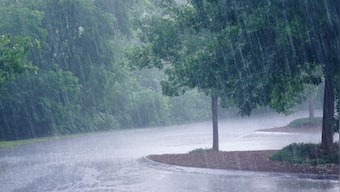 Weather Forecast: Monsoon will cause heavy rain in these states today, know all updates
