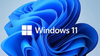 What is Windows 11 Ghost box issue? How to fix it?