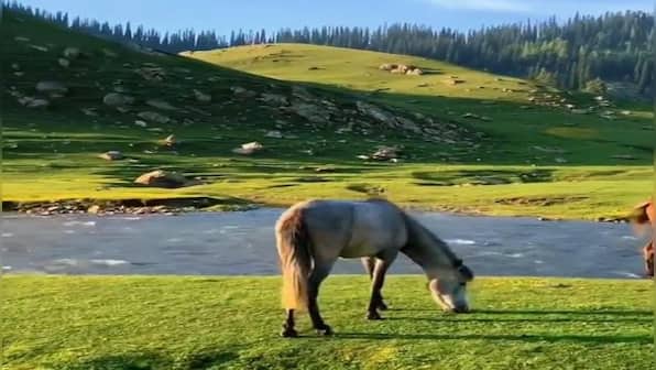 'Incredible India': Magnificent view of J&K’s Bangus Valley attracts internet, watch