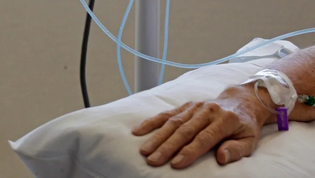 World Rose Day for Cancer Patients: Know history and significance World Rose Day for Cancer Patients: Know history and significance