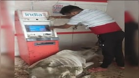 Viral video: ATM turns into shelter for cow, man struggles to withdraw cash