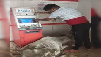 Viral video: ATM turns into shelter for cow, man struggles to withdraw cash