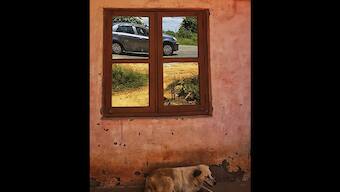 Renowned artist Sanjay Bhattacharya announces his first ever-Mobile photography exhibition at Bikaner House