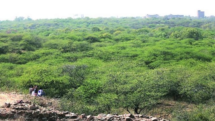 Totally Wild: All about the world’s largest safari park coming up in Gurugram