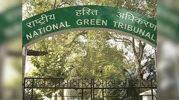 Haryana to cough up Rs100 cr for continuing to pollute environment, forests