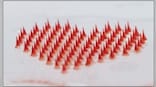 World Heart Day 2022: How health technology tools help control cardio-metabolic diseases