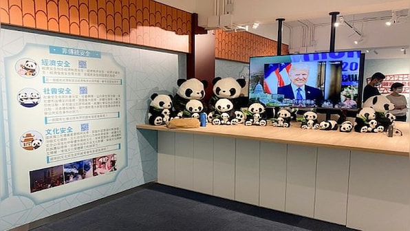 Explained: What are pandas and Donald Trump teaching Hong Kong kids?