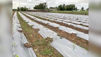 Why one needs to take criticism of PM Narendra Modi’s organic farming policy with a pinch of salt