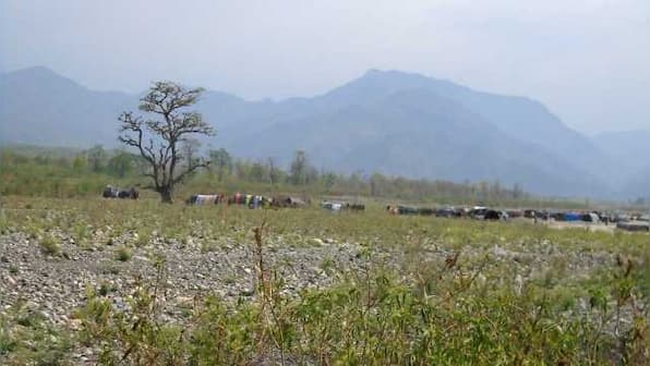 Monsoon flooding washes away Iconic Haldu tree on Jakhan river near Dehradun that Paul McCartney took a picture with