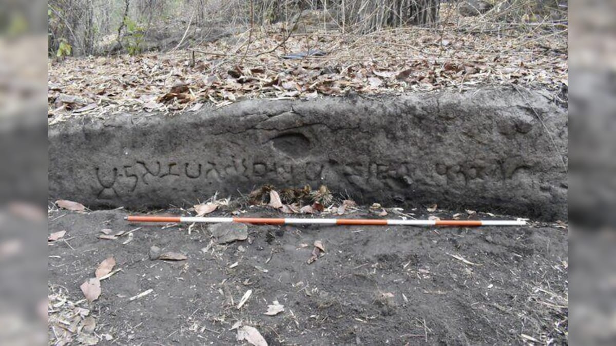 Madhya Pradesh: ASI uncovers ancient caves, temples & Buddhist structures in Bandhavgarh Forest Reserve