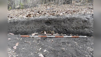Madhya Pradesh: ASI uncovers ancient caves, temples & Buddhist structures in Bandhavgarh Forest Reserve