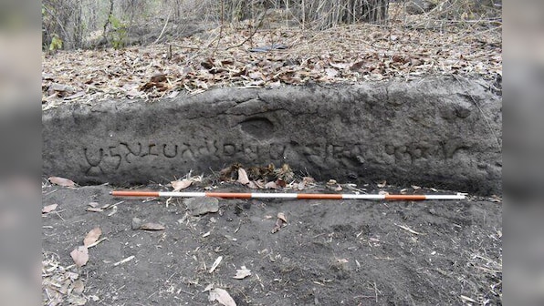Madhya Pradesh: ASI uncovers ancient caves, temples & Buddhist structures in Bandhavgarh Forest Reserve