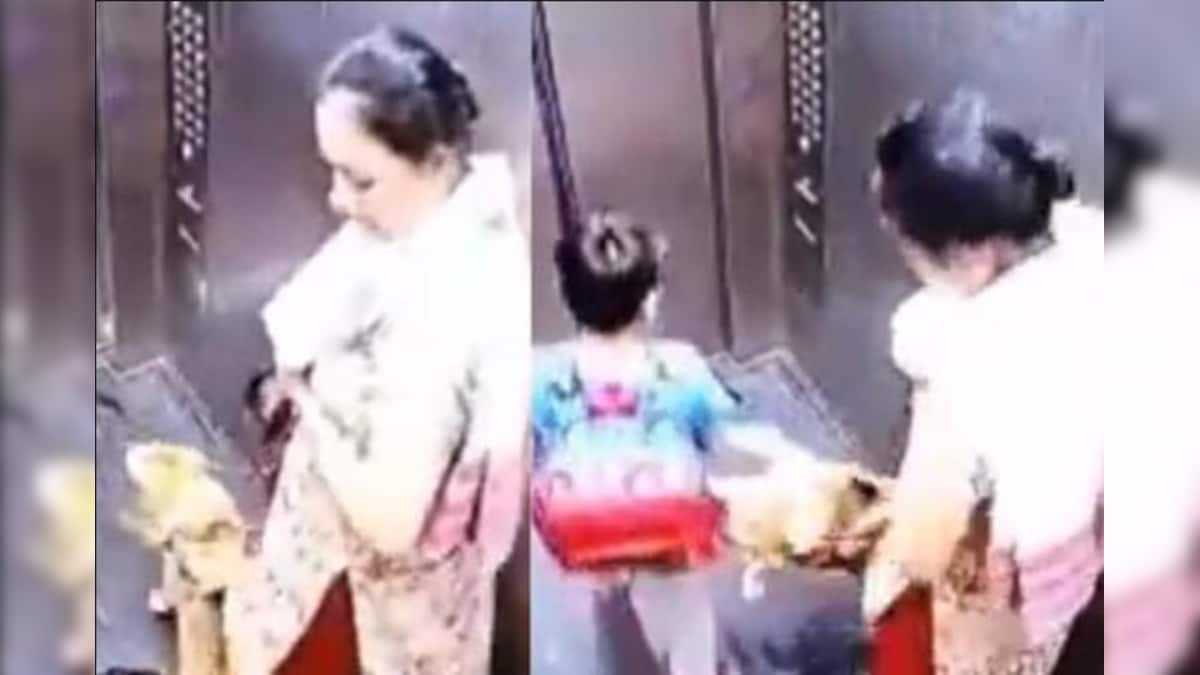 Dog owner booked after her pet bit 10-year-old in elevator, kid's father confronts woman