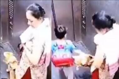 Dog owner booked after her pet bit 10-year-old in elevator, kid's father confronts woman
